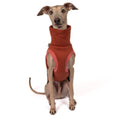 Load image into Gallery viewer, Sweat Shirt Iggy Terracotta – ergonomischer Schnitt für Dackel, Windspiele und Windhunde – handgefertigte Hundekleidung