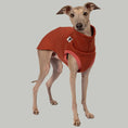 Load image into Gallery viewer, Sweat Shirt Iggy Terracotta – hochwertige Hundekleidung für Dackel, Windspiele und Windhunde von Karma Hund Berlin – Ganzkörperansicht am Hund