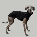 Load image into Gallery viewer, SWEAT SHIRT Iggy Black