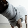 Load image into Gallery viewer, SWEAT SHIRT Iggy Grey Melange