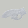 Load image into Gallery viewer, SWEAT SHIRT Iggy Grey Melange