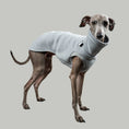 Load image into Gallery viewer, SWEAT SHIRT Iggy Grey Melange