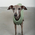 Load image into Gallery viewer, SWEAT SHIRT Iggy Matcha