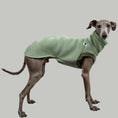 Load image into Gallery viewer, SWEAT SHIRT Iggy Salbeigrün