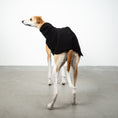 Load image into Gallery viewer, SWEAT SHIRT Sighthound Black