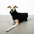 Load image into Gallery viewer, SWEAT SHIRT Sighthound Black