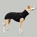 Load image into Gallery viewer, SWEAT SHIRT Sighthound Black