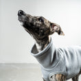 Load image into Gallery viewer, SWEAT SHIRT Sighthound Grey Melange