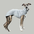 Load image into Gallery viewer, SWEAT SHIRT Sighthound Grey Melange