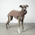 Load image into Gallery viewer, SWEAT SHIRT Sighthound Mokka