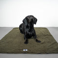 Load image into Gallery viewer, Teddy Kuscheldecke Olivgrün