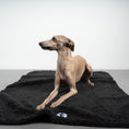 Load image into Gallery viewer, Teddy Kuscheldecke Schwarz