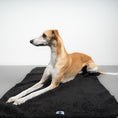 Load image into Gallery viewer, Teddy Kuscheldecke Schwarz
