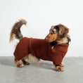 Load image into Gallery viewer, Teddy Overall Dackel Brown – Ganzkörperansicht – stilvolle Hundekleidung für Dackel und Windspiele