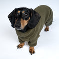 Load image into Gallery viewer, Teddy Overall Dackel Dark Olive – optimale Passform für Windhunde, Whippets und Dackel