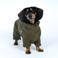 Load image into Gallery viewer, Teddy Overall Dackel Dark Olive – Ganzkörperansicht – stilvolle Hundekleidung für Dackel und Windspiele