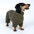 Load image into Gallery viewer, Teddy Overall Dackel Dark Olive – hochwertige Hundekleidung für Dackel, Windspiele und Windhunde von Karma Hund Berlin – Hund frontal