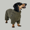 Load image into Gallery viewer, Teddy Overall Dackel Dark Olive – hochwertige Hundekleidung für Dackel, Windspiele und Windhunde von Karma Hund Berlin – Hund frontal