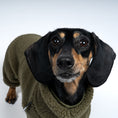Load image into Gallery viewer, Teddy Overall Dackel Dark Olive – Close-up am Hund – hochwertige Hundekleidung von Karma Hund