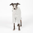 Load image into Gallery viewer, Teddy Overall Iggy Light Grey – Hundepullover und Hundekleidung für Dackel und Windspiele – Seitenansicht am Hund