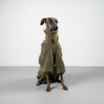 Load image into Gallery viewer, TEDDY OVERALL Iggy Olivgrün