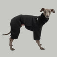 Load image into Gallery viewer, Teddy Overall Iggy Schwarz – hochwertige Hundekleidung für Dackel, Windspiele und Windhunde von Karma Hund Berlin – Ganzkörperansicht am Hund