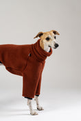 Load image into Gallery viewer, Whippet trägt grauen Windhund Overall mit elastischen Bündchen – handgefertigt in Berlin