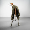 Load image into Gallery viewer, TEDDY OVERALL Windhund Olivgrün