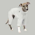 Load image into Gallery viewer, Teddy Overall Windhund Light Grey – hochwertige Hundekleidung für Dackel, Windspiele und Windhunde von Karma Hund Berlin – Ganzkörperansicht am Hund