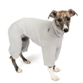 Load image into Gallery viewer, Teddy Overall Windhund Light Grey – Hundepullover und Hundekleidung für Dackel und Windhunde – Seitenansicht am Hund