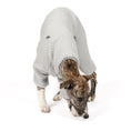 Load image into Gallery viewer, Teddy Overall Windhund Light Grey – Hund in Bewegung – bequeme Hundekleidung für Windhunde