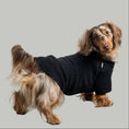 Load image into Gallery viewer, Teddy Pullover Dackel Schwarz – hochwertige Hundekleidung für Dackel, Windspiele und Windhunde von Karma Hund Berlin – Ganzkörperansicht am Hund