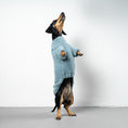 Load image into Gallery viewer, TEDDY PULLOVER Dackel Eisblau