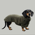 Load image into Gallery viewer, TEDDY PULLOVER Dackel Olivgrün