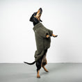Load image into Gallery viewer, TEDDY PULLOVER Dackel Olivgrün