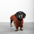 Load image into Gallery viewer, TEDDY PULLOVER Dackel Rostbraun
