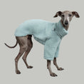 Load image into Gallery viewer, TEDDY PULLOVER Iggy Mintblau