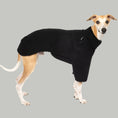 Load image into Gallery viewer, Teddy Pullover Windhund Schwarz – hochwertige Hundekleidung für Dackel, Windspiele und Windhunde von Karma Hund Berlin – Ganzkörperansicht am Hund