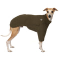 Load image into Gallery viewer, Teddy Pullover Windhund Dark Olive – hochwertige Hundekleidung für Dackel, Windspiele und Windhunde von Karma Hund Berlin – Ganzkörperansicht am Hund