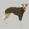 Load image into Gallery viewer, Teddy Pullover Windhund Dark Olive – hochwertige Hundekleidung für Dackel, Windspiele und Windhunde von Karma Hund Berlin – Ganzkörperansicht am Hund