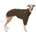 Load image into Gallery viewer, Teddy Pullover Windhund Dark Olive – Hundepullover und Hundekleidung für Dackel und Windhunde – Seitenansicht am Hund