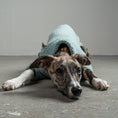 Load image into Gallery viewer, TEDDY PULLOVER Windhund Mint