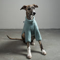 Load image into Gallery viewer, TEDDY PULLOVER Windhund Mint