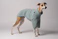 Load image into Gallery viewer, Whippet im Teddy-Fleece Outfit posiert vor urbaner Kulisse bei kühlem Wetter
