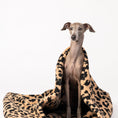 Load image into Gallery viewer, Kleiner Hund kuschelt im Teddy Schlafsack von Karma Hund