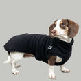 Load image into Gallery viewer, TEDDY SHIRT Dachshund Black