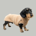 Load image into Gallery viewer, TEDDY SHIRT Dachshund Camel