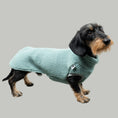 Load image into Gallery viewer, TEDDY SHIRT Dachshund Mint
