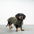 Load image into Gallery viewer, TEDDY SHIRT Dackel Olivgrün