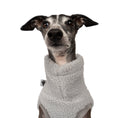 Load image into Gallery viewer, Teddy Shirt Iggy Light Grey – Close-up am Hund – hochwertige Hundekleidung von Karma Hund